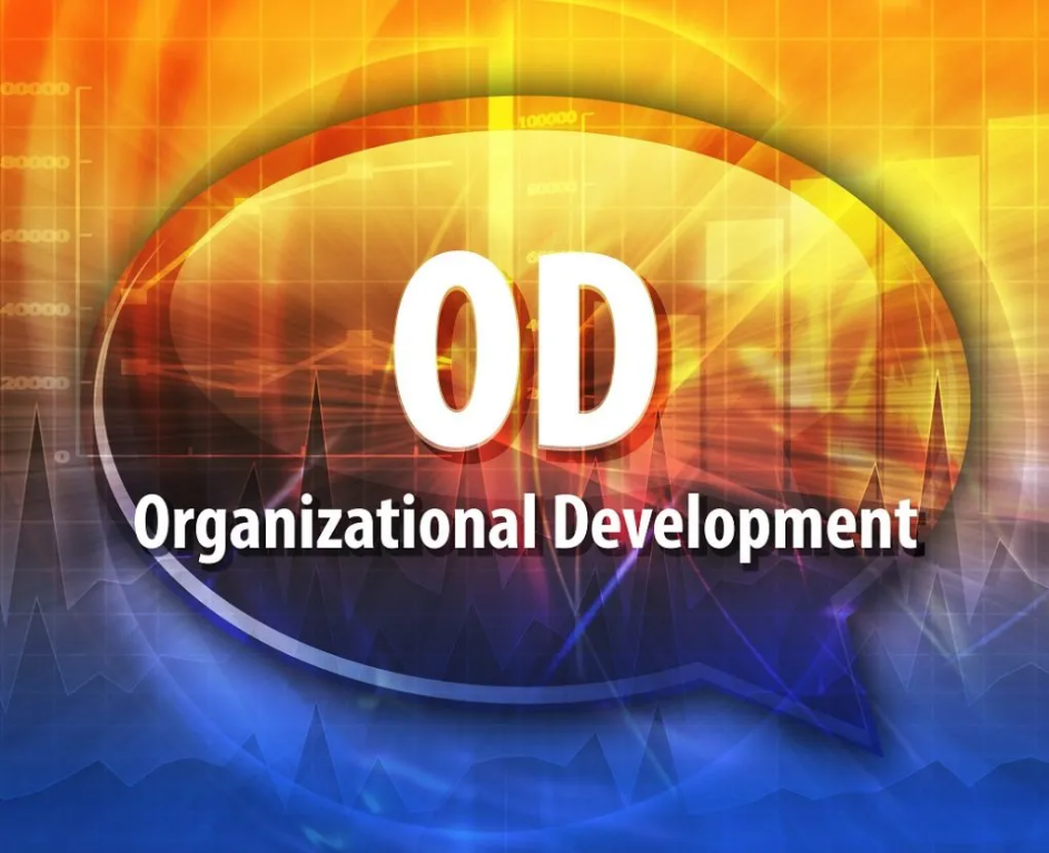 Introduction to Organization Development